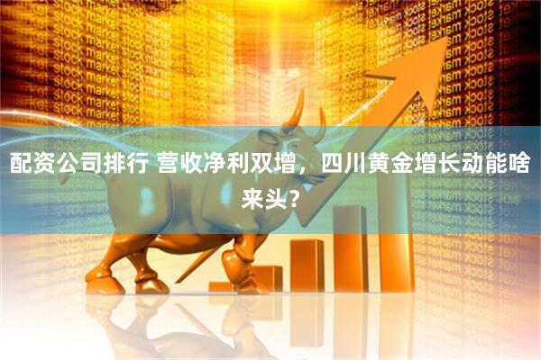 配资公司排行 营收净利双增，四川黄金增长动能啥来头？